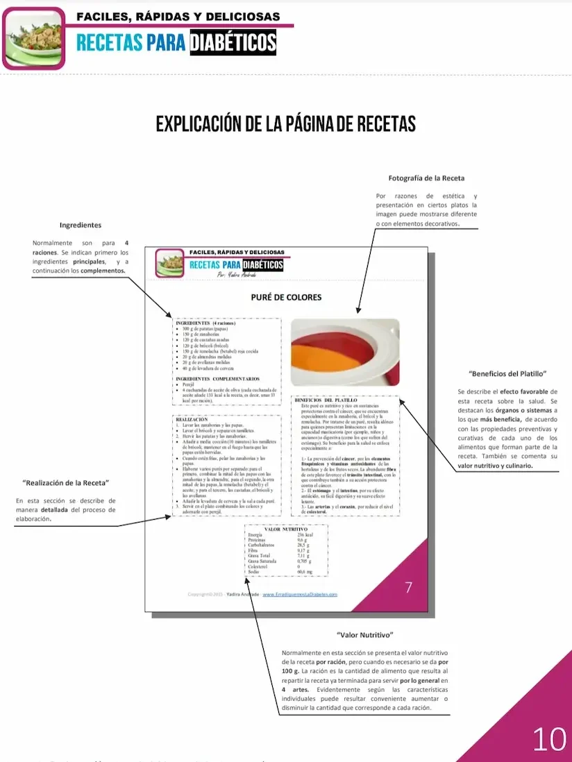explicación de la página de recetas el libro de re