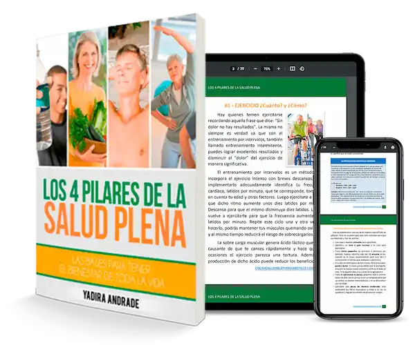 service-1-1 los 4 pilares de la salud plena