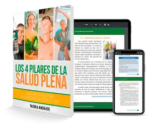 los 4 pilares de la salud plena (1)