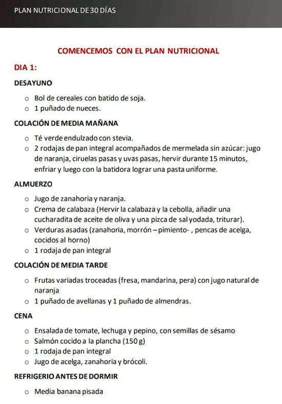 plan nutricional día 1 el libro de recetas