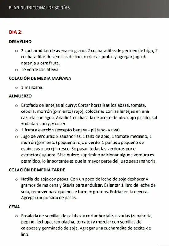 plan nutricional día 2 el libro de recetas (1)